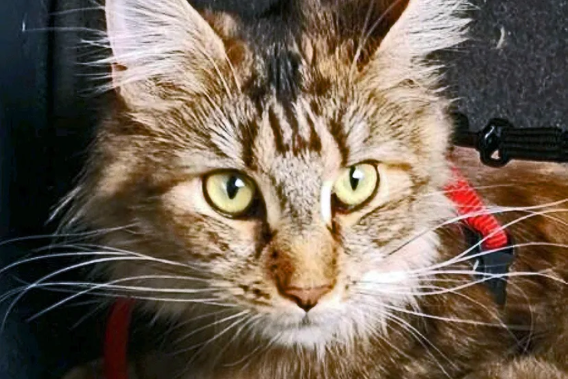 20201007 072958 detail