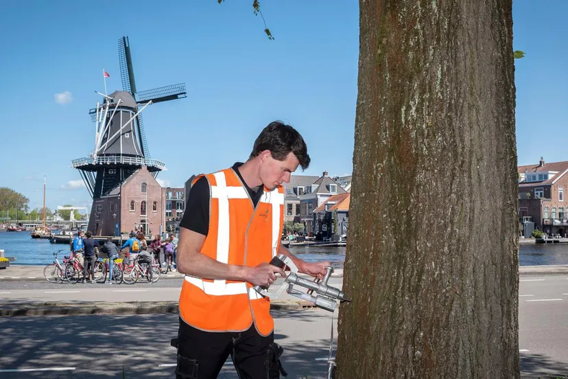 2021 hm griepprik iepen 2 16x 9 kopieren