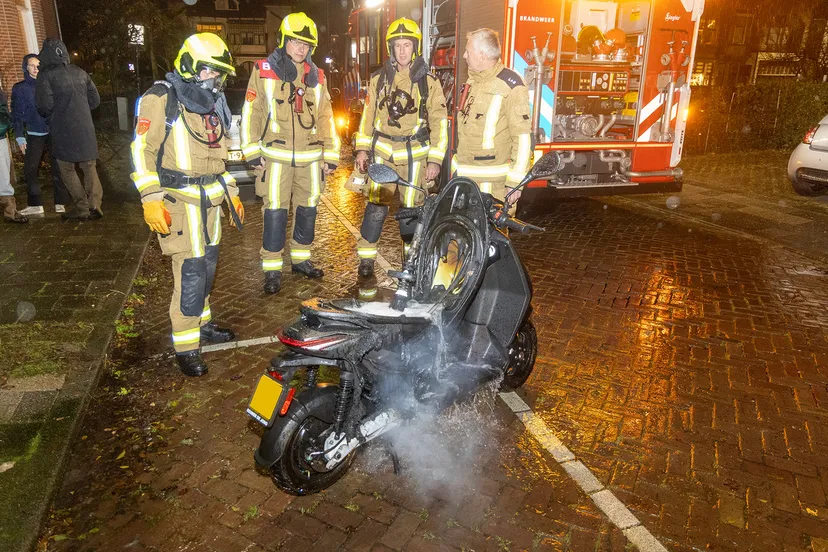 20231125 westerhoutpark 07