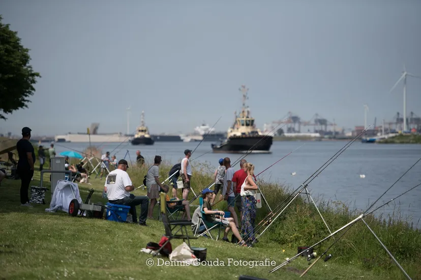 287258538 756512105694143 8182873865795260100 n