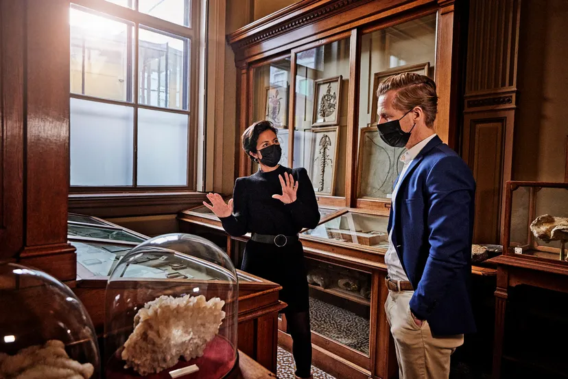 3137 56cdfcfa910e73082a6039961e131a24 small