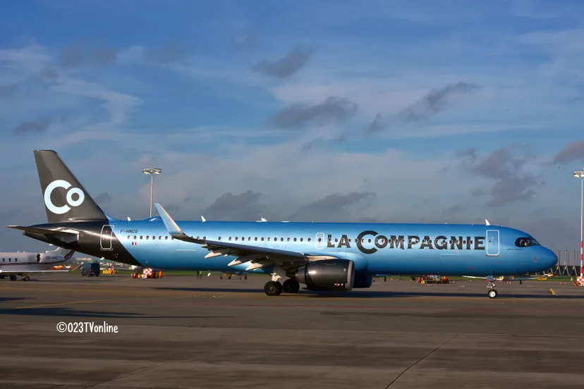 315361738 1790595701318417 546561796417657574 n