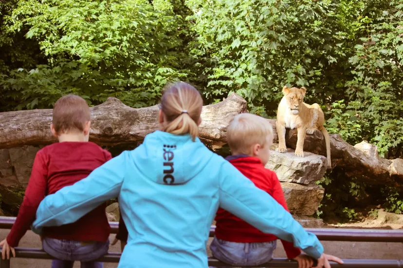 31693067 1973376376036877 1121867400703115264 o