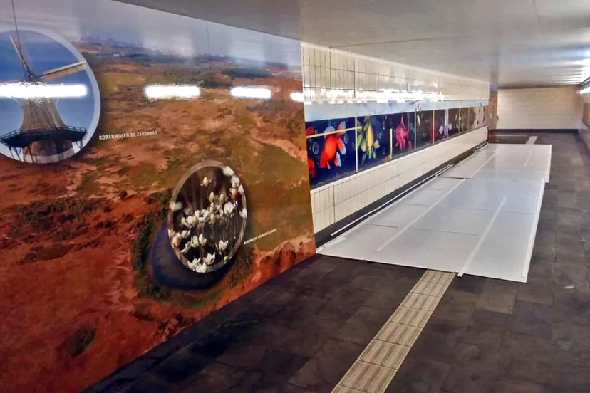 368561w1600r16 9b3f81bdq90