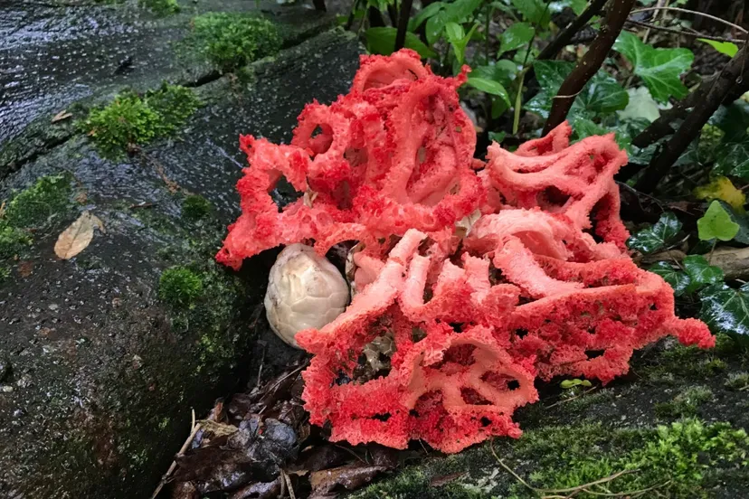 374165w1600b96641bbc7bf12q90