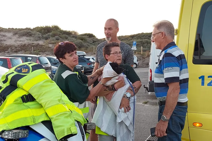 3974a863 955b 4585 bbdf 1f9e466c1336