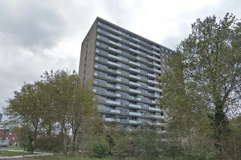 399794w1600r16 9df90c76q90