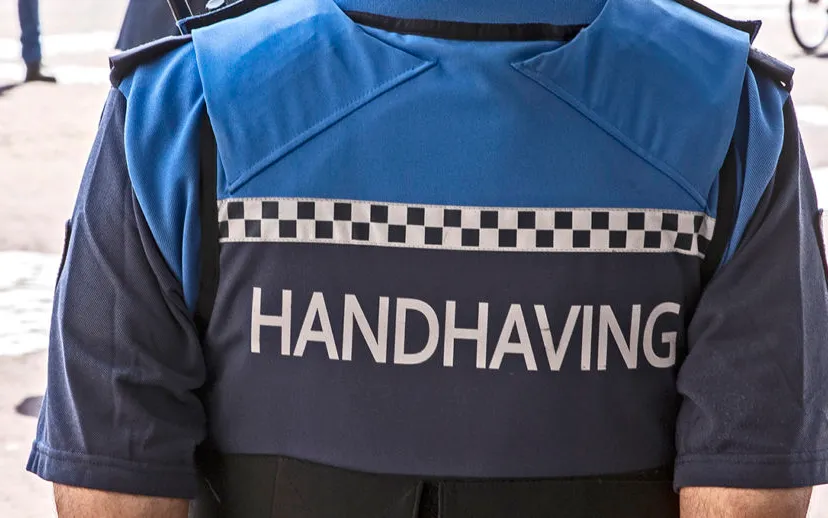 3z1a2327 boa 915x518 1