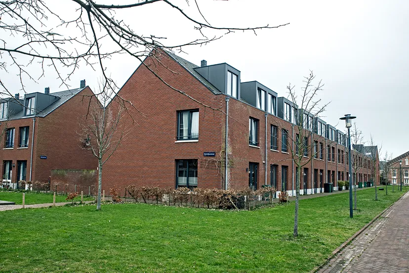 3z1a3140 ripperda wmf