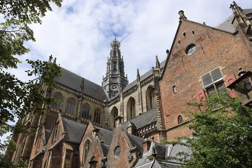 3z1a3477 bavo wim meijer fotografie