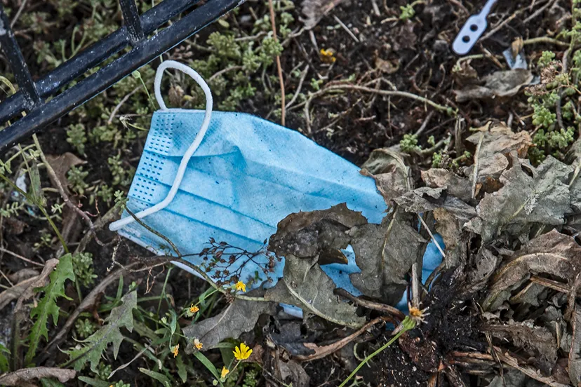 3z1a3783ondkapje wim meijer fotografie