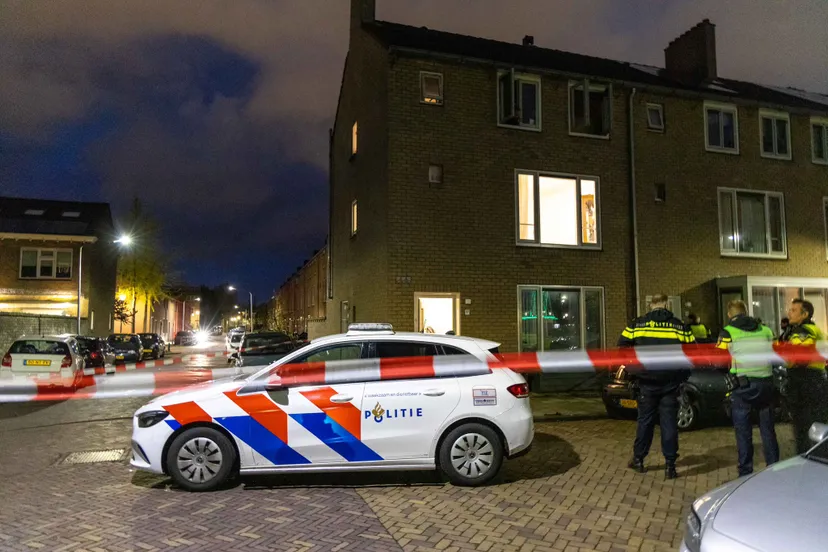 44c6ccce 93e0 47c6 bff9 961c01e06413