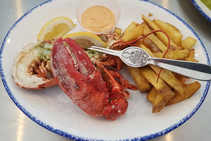 450 dbf07ee78e6ac32c26fcf39ebab8551b1