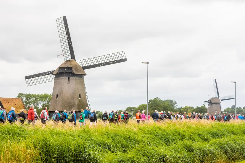 52452464 2120155504733669 4977264232979496960 o