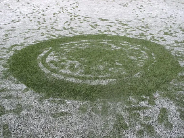 8376610799 f0a4a58b7d z