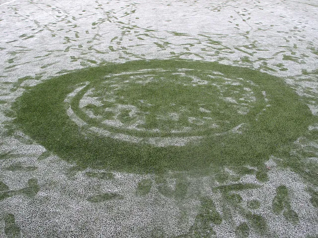 8376610799 f0a4a58b7d z