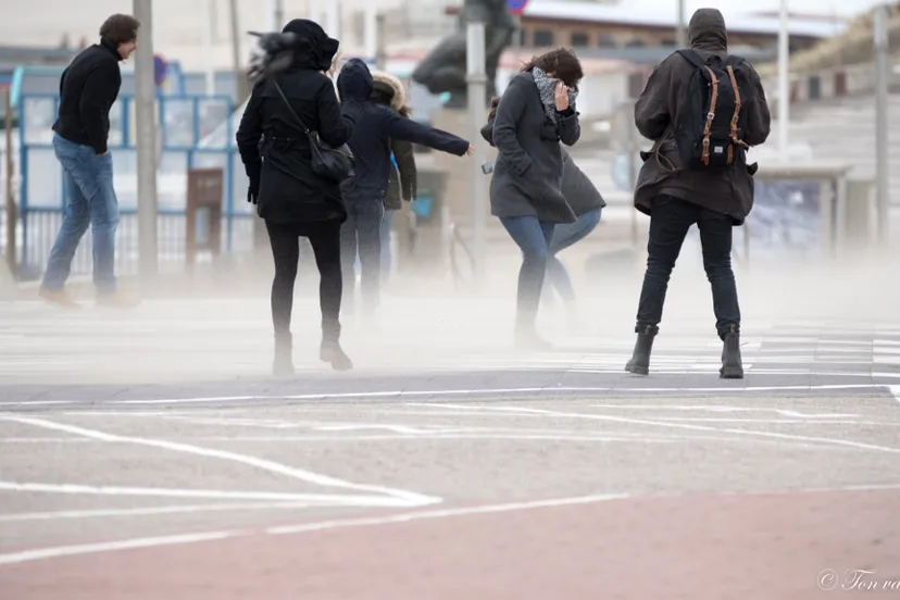 84468777 2658565217576061 2683443447112663040 o