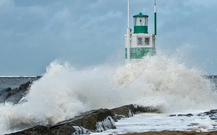 84647554 2661981887234394 6288059711661015040 o 915x518 1