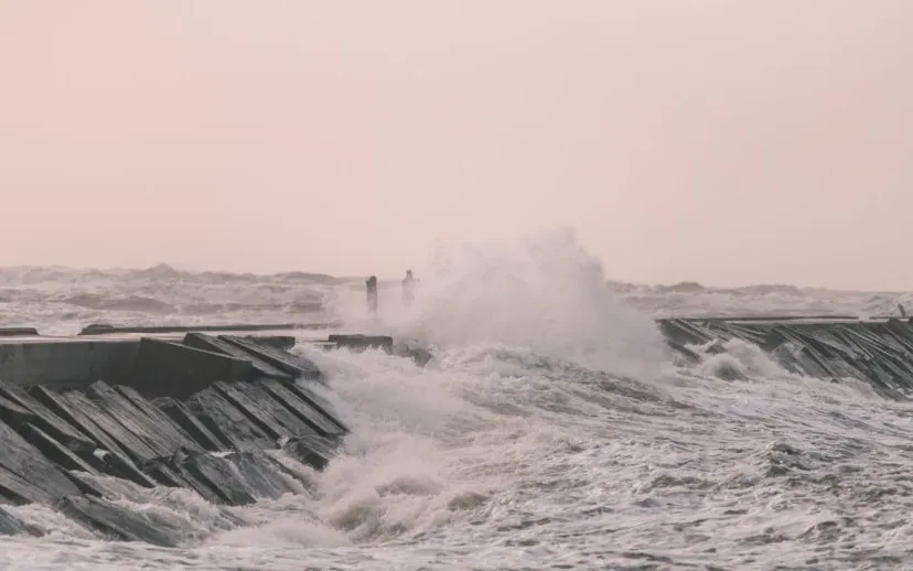 86173871 184788822866477 6744052652855787520 o 915x518 1