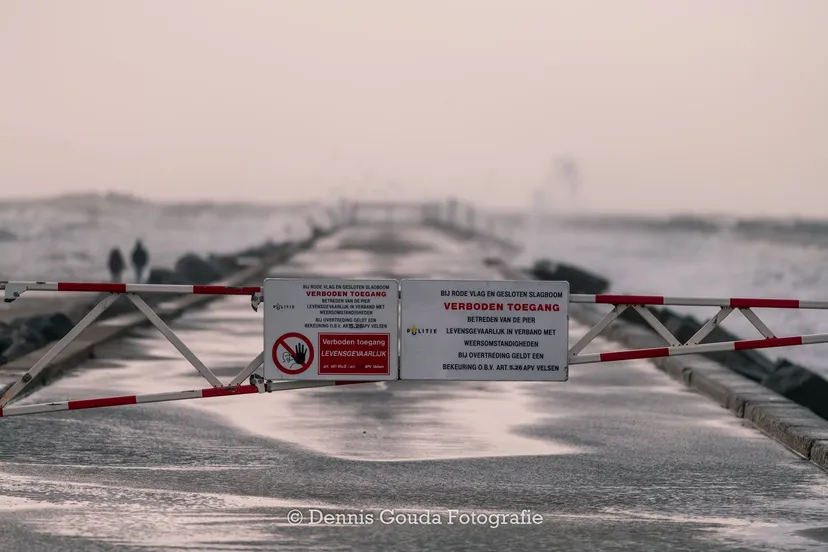 86271696 184788819533144 3054682484395474944 o