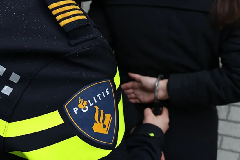 aanhouding politieagent embleem 03