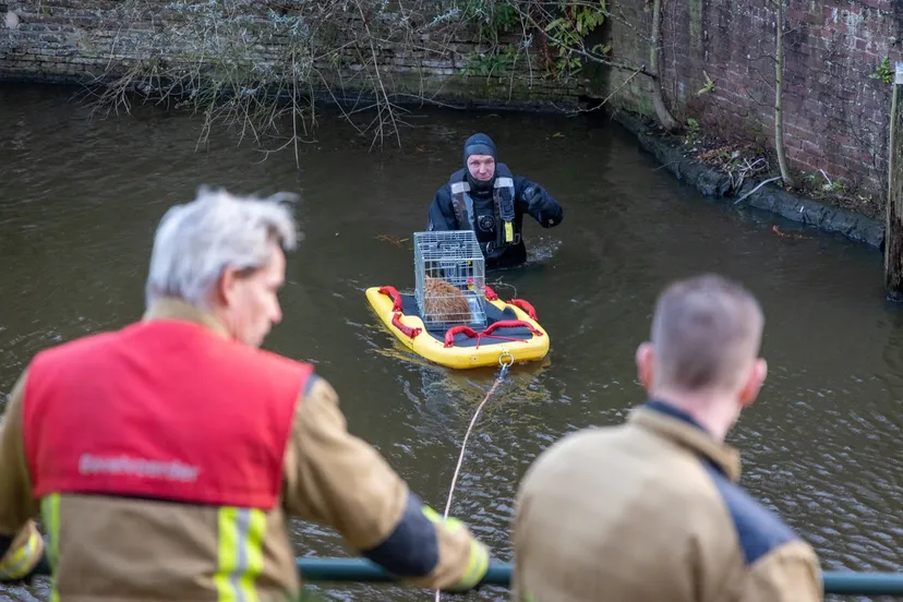 ae082092 c4a4 46b7 9a14 ec18997a60a2