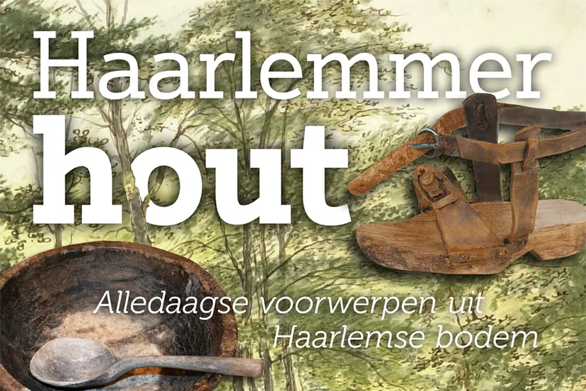 affiche haarlemmerhout 11 2022 cover