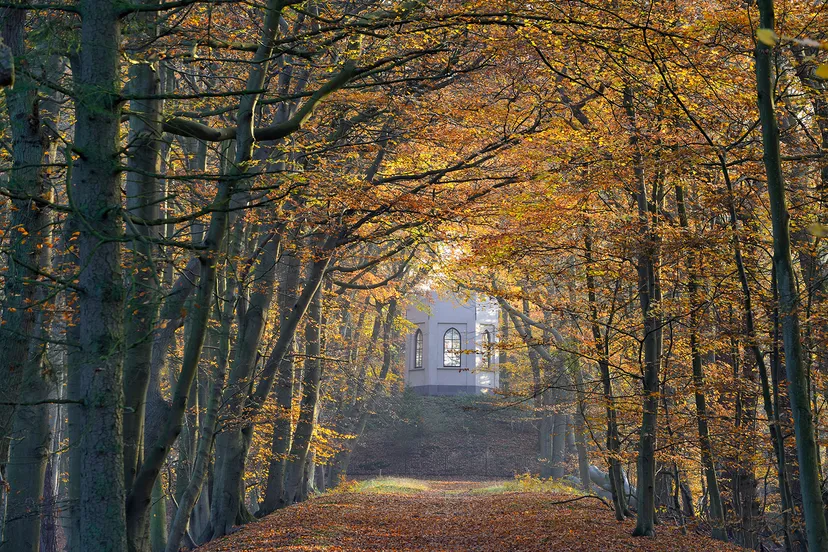 belvedere in herfst ronald van wijk kopieren