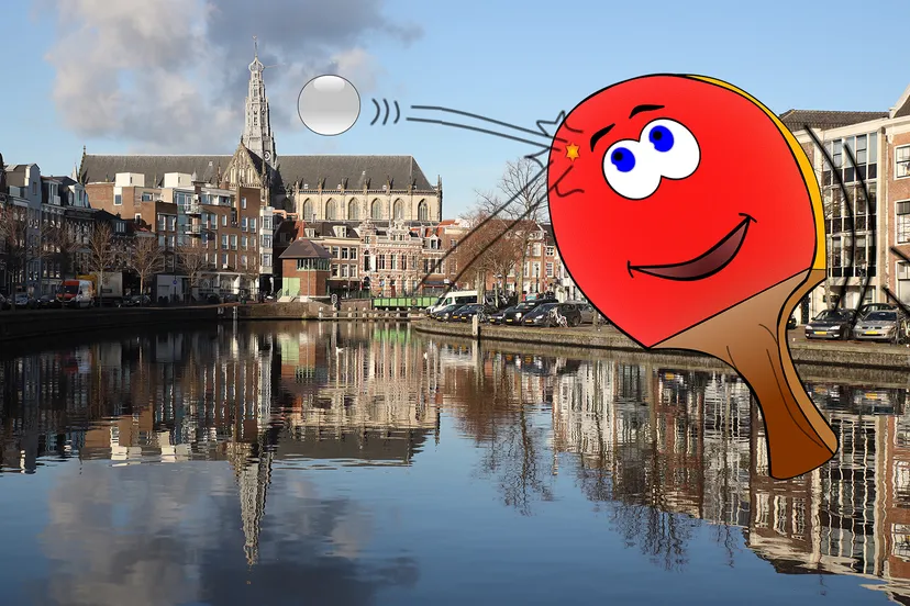 beste pingponger van haarlem