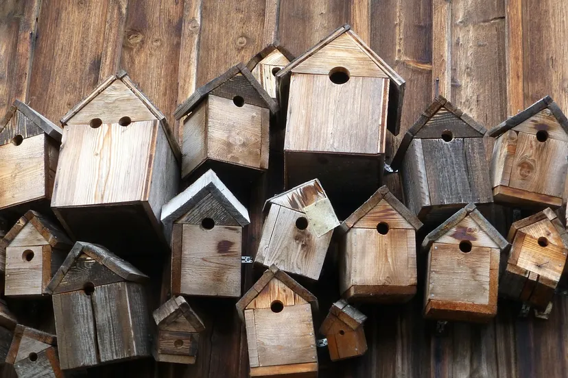 bird feeder 248946 1280