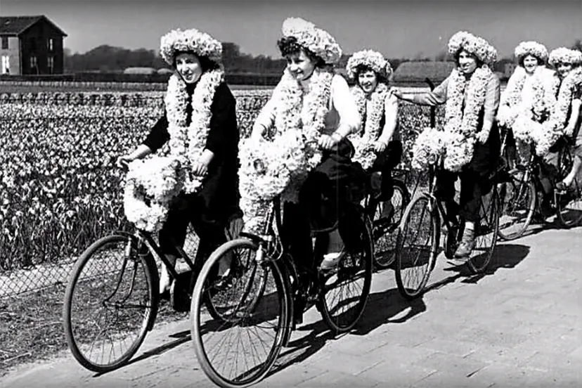 bloemencorso bollenstreek 1947