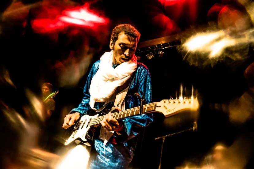 bombino photo credit vittorio catti
