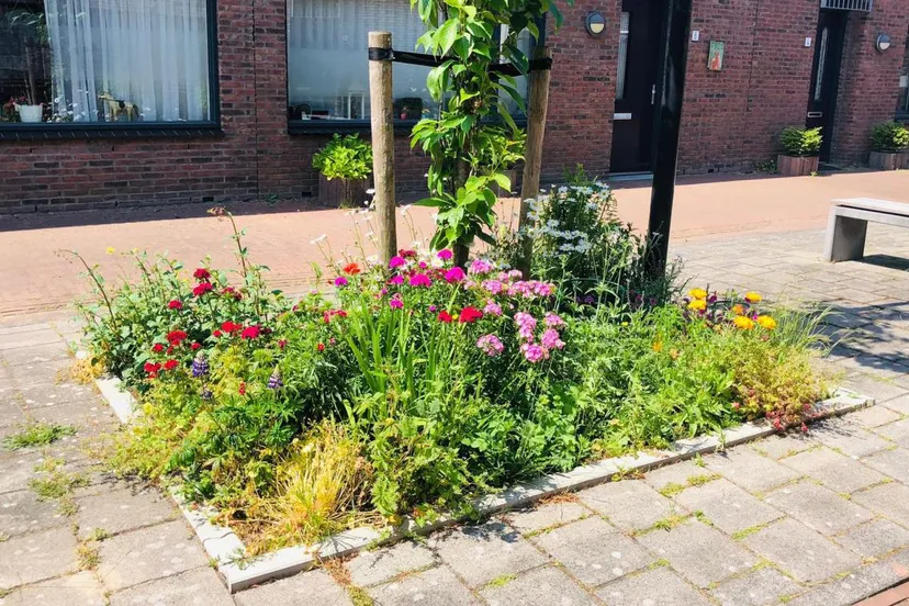 boomspiegel 16x9 kopieren