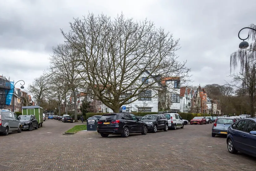 bos en vaart en spruitenboschstrjpg 915x518 kopie duijff