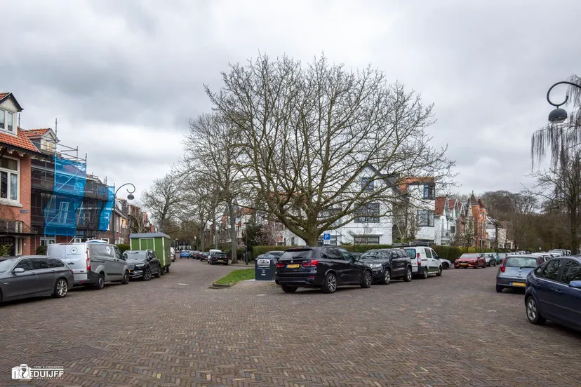 bos en vaart en spruitenboschstrjpg