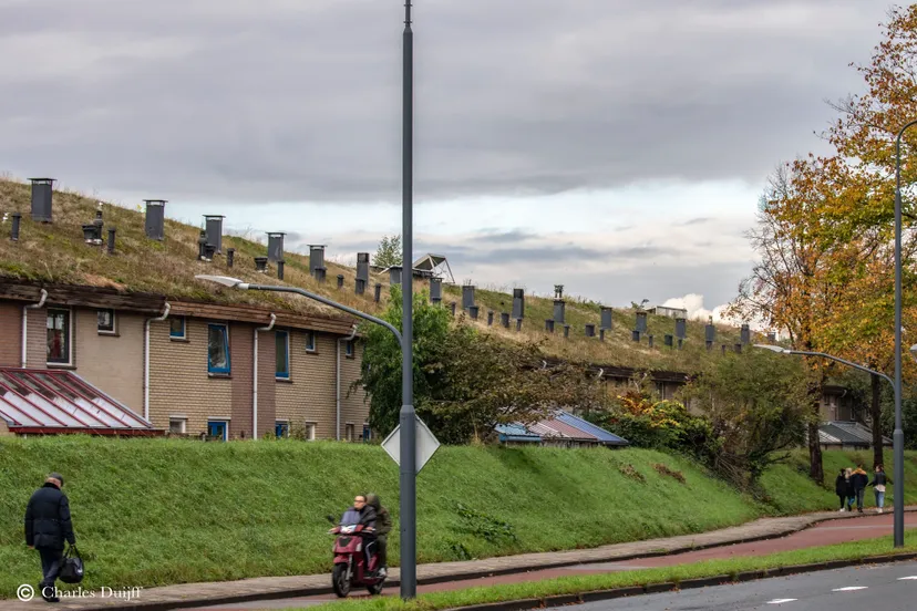 bouw 5 groen op dak 1