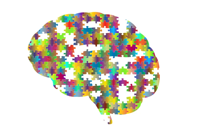 brain 2750453 1280 new