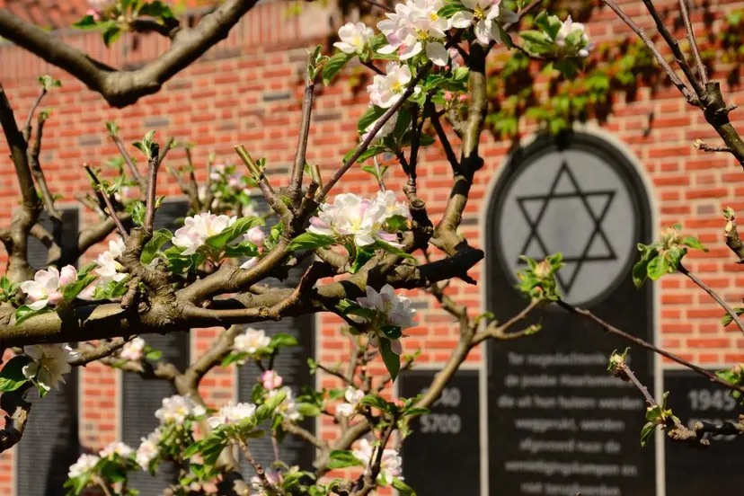 centrum joods monument philip frankplein 1 kopieren