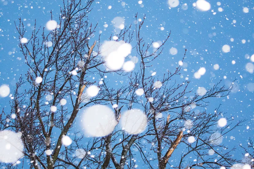 chandler cruttenden km1p1c1q8qo unsplash