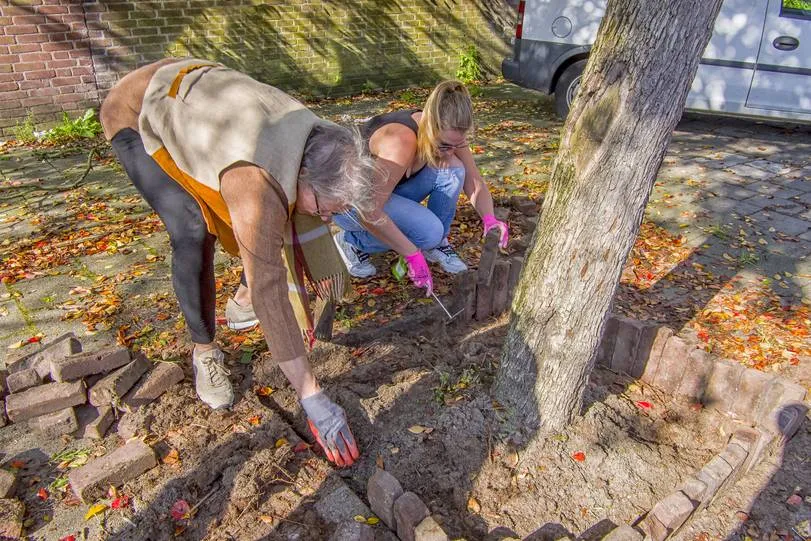 csm boom 9 a 3ea4d3cfc9