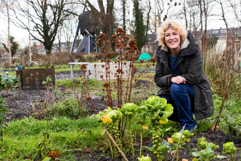 csm marjolein de klerk nme 7b94630196