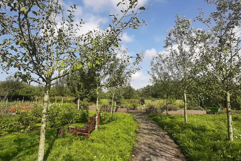 dagbestedingslocatie kennemerhart oppeppers tuindershart kopie