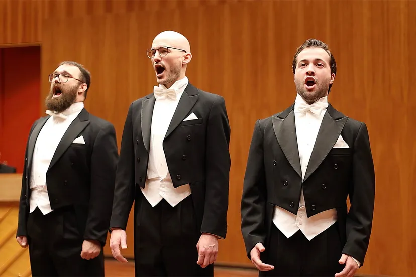 diamond baritones fotografie anouk van duifhuizen