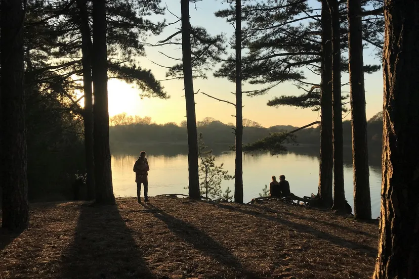 extra maatregelen circuit zandvoort om bescherming natuur