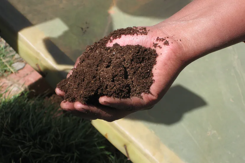 final compost with fine quality 8101719844 wiki