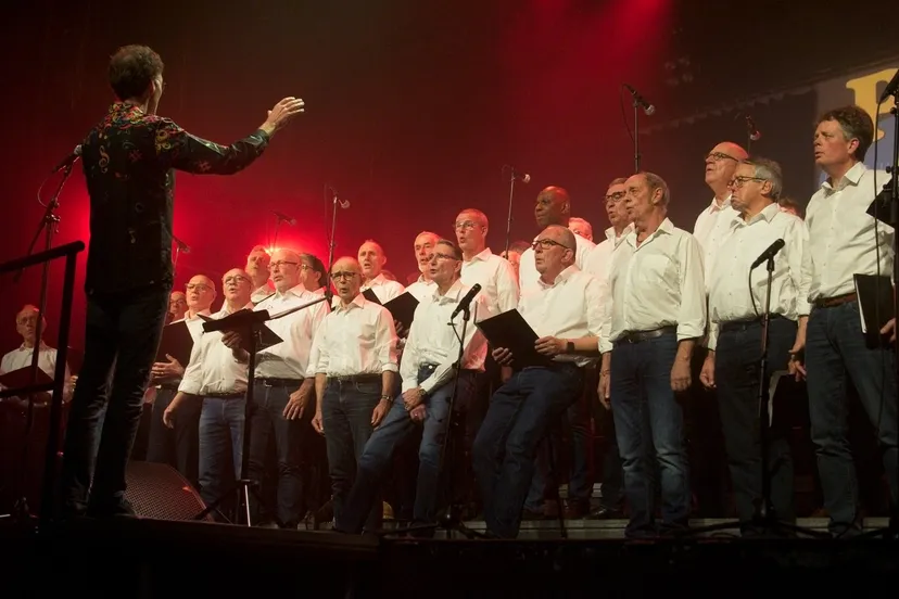 foto 01 zang en vriendschap