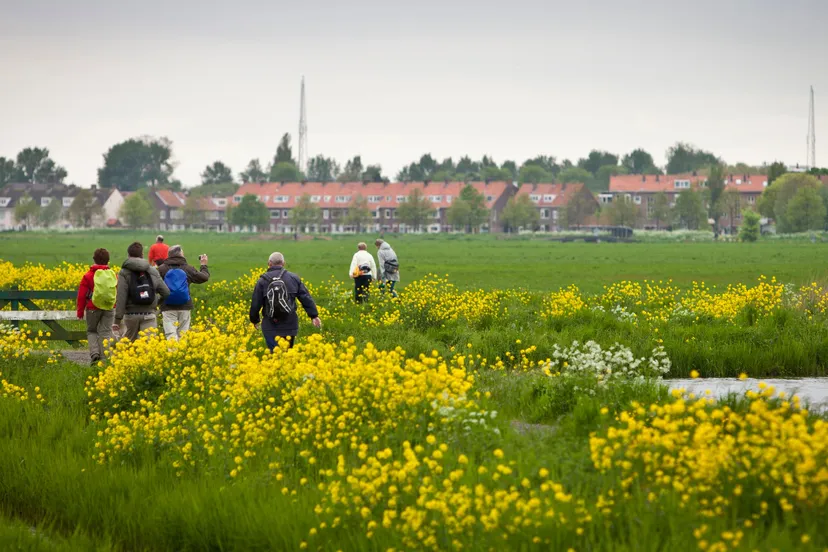 foto door renata jansen 1388