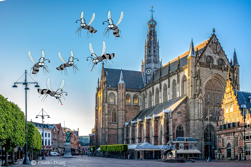 grote kerk muggen kl