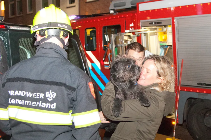 hondje koude auto 02