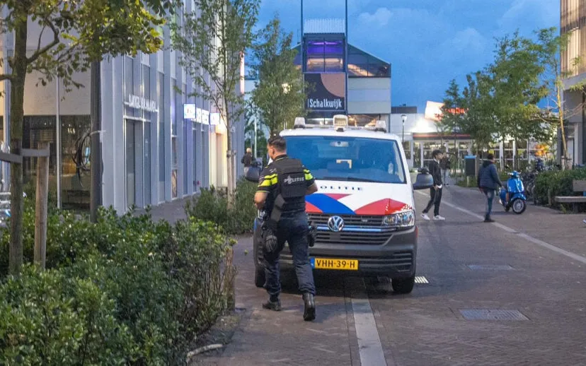 img 20230731 wa0043 1 kopieren 915x518 1